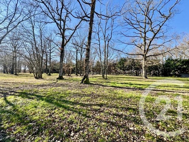 maison à vendre - 4 pièces - 205.0 m2 - 31 - MIDI-PYRENEES - Century 21 Côte Pavée